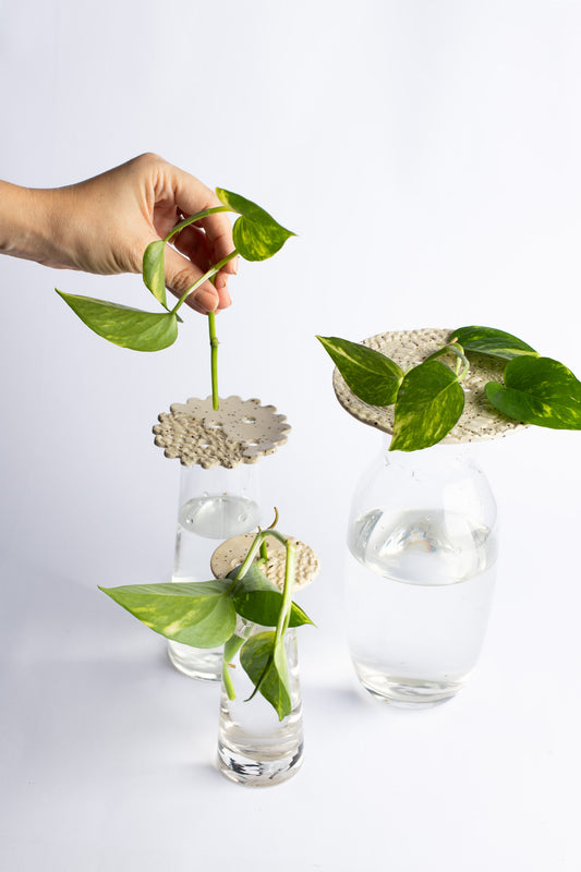 Tampinhas para Vasos 03 Unid.